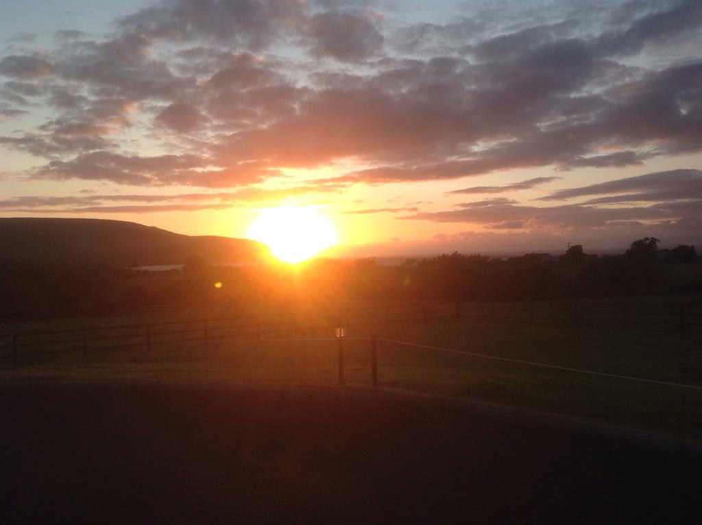 Loughrask Lodge Bed & Breakfast room 2